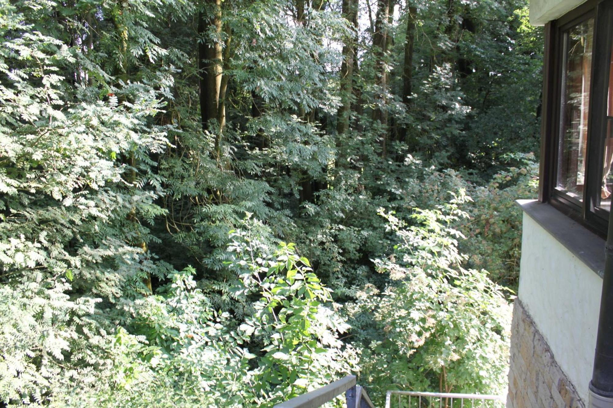 Fewo Harling - Waldsamkeit Bad Iburg Exterior foto